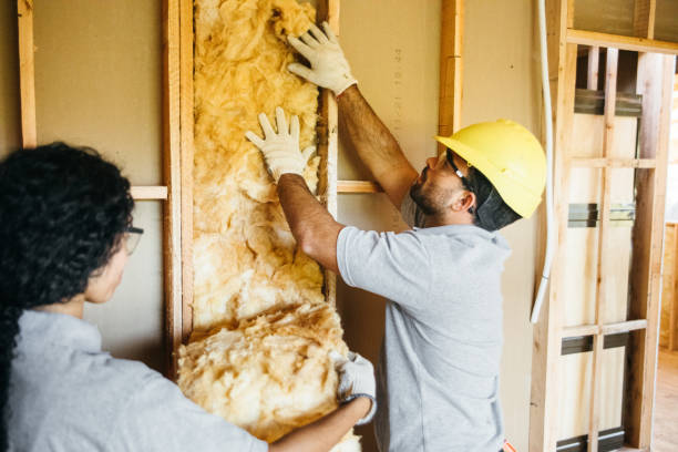 Best Wall Insulation Contractor  in Florin, CA