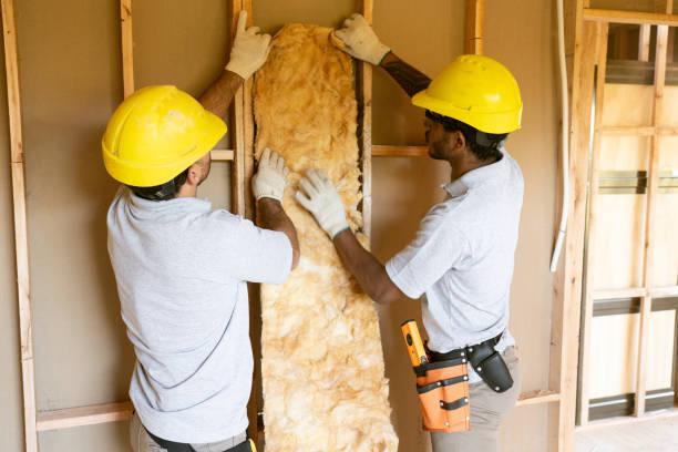 Best Insulation for New Construction  in Florin, CA