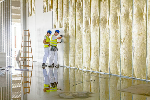 Best Soundproof Insulation Installation  in Florin, CA